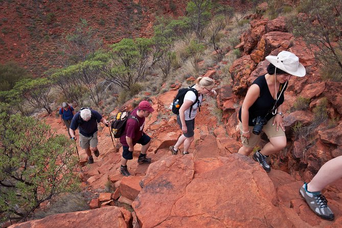 Uluru, Kata Tjuta And Kings Canyon Camping Safari From Alice Springs - thumb 3