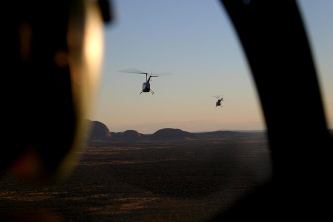 Helicopter Scenic: Lizard Safari - thumb 1