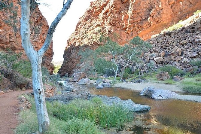 Alice Springs, Uluru Ayers Rock & Kings Canyon 8 Days Touring Package - thumb 2