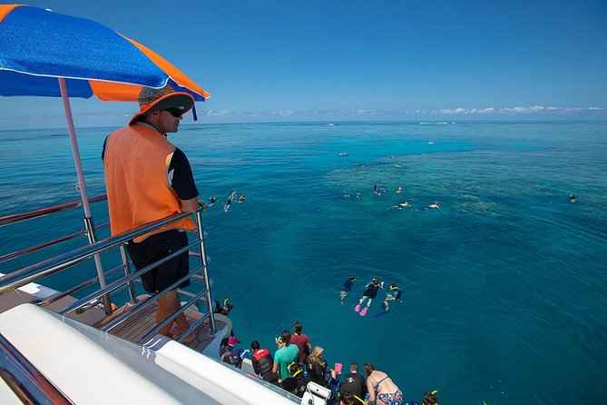Great Barrier Reef Snorkeling And Diving Cruise From Cairns - thumb 4