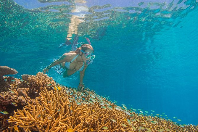 Passions Of Paradise Great Barrier Reef Snorkel And Dive Cruise From Cairns By Luxury Catamaran - thumb 2