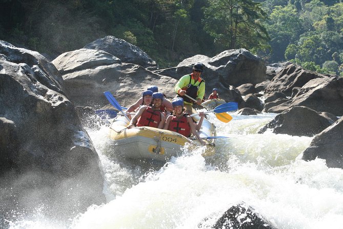 Barron River Half-Day White Water Rafting From Cairns - thumb 4