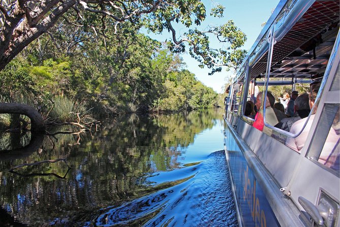 Serenity Cruise to Australia's Everglades - Accommodation Noosa