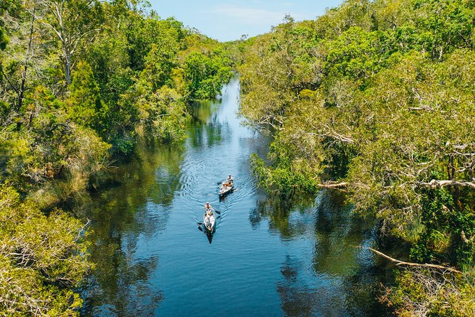 Cruise 'n' Canoe to Australia's Everglades - Accommodation Mount Tamborine