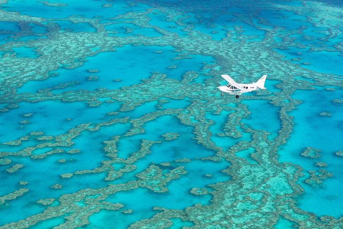 Great Barrier Reef Scenic Flight And Ocean Rafting Whitehaven Beach Day Trip - thumb 8