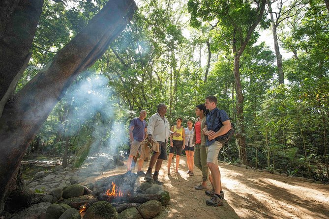 Aboriginal Cultural Daintree Rainforest Tour From Cairns Or Port Douglas - thumb 3
