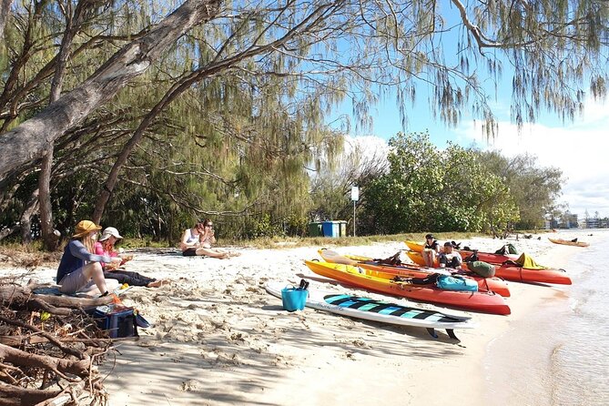 Half-Day Kayak, SUP And Snorkel Tour At Wave Break Island With Lunch - thumb 8