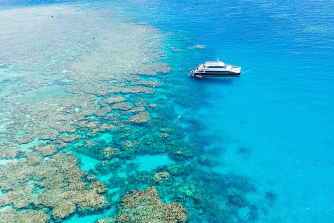 Great Barrier Reef Tour With Indigenous Sea Rangers-Dreamtime Dive And Snorkel - thumb 3