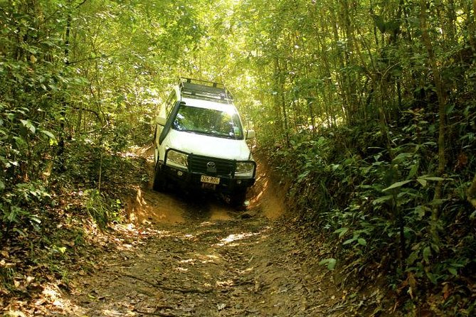 Barron Gorge And Kuranda National Park Half Day Rainforest And Waterfall 4WD Tour From Cairns - thumb 0