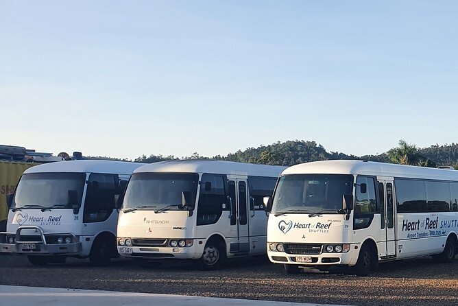 Shared Arrival Transfer: Proserpine Airport To Airlie Beach & Surrounds - thumb 3