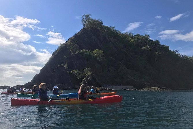 Kayak Turtle Tour From Palm Cove - thumb 3