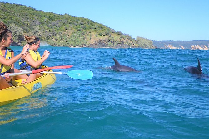 Kayak With Dolphins And 4WD Great Beach Drive Day Trip From Noosa - thumb 5