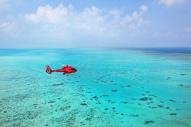 Ultimate Great Barrier Reef And Rainforest 45-minute Helicopter Tour - thumb 4