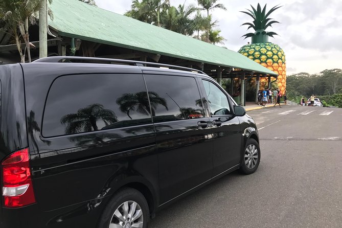 Private Transfer From Noosa To Sunshine Coast Airport- 8seater + Luggage Trailer - thumb 5