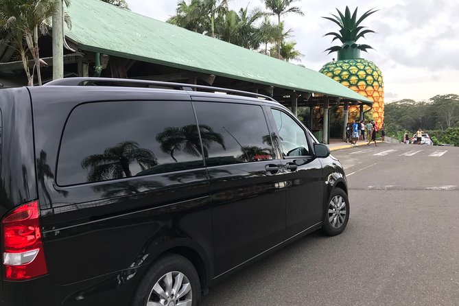 Private Transfer From Sunshine Coast Airport To Noosa 8 Seater + Luggage Trailer - thumb 7