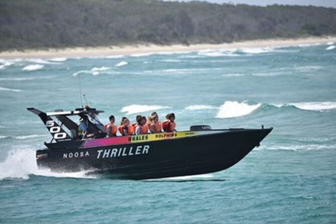 Noosa Thriller - 500hp Ocean Adventure Ride - Tourism Cairns