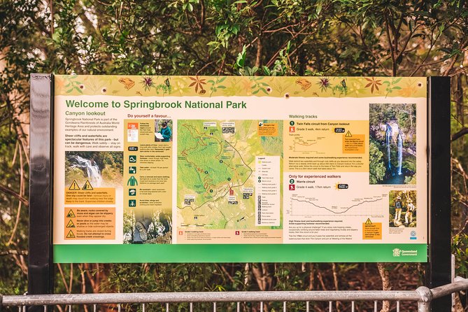Full-day Springbrook National Park Tour From The Gold Coast - thumb 4