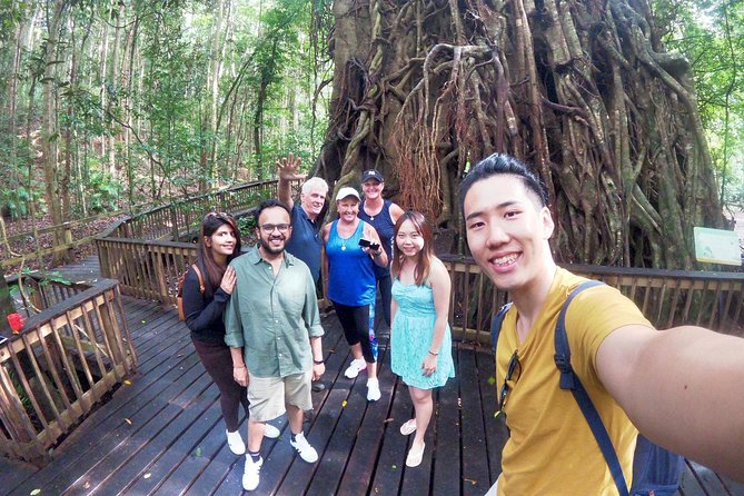 Cairns 4WD Waterfall And Rainforest Tour Including Kuranda Scenic Railway - thumb 6