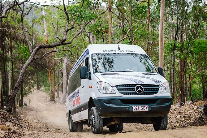 Gold Coast 4WD Eco Outback Tracks Tour - thumb 1