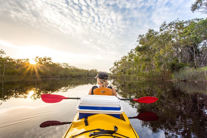 Self-Guided Noosa Everglades Kayak Tour - thumb 1