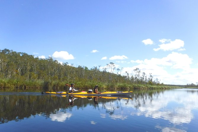 Full-Day Guided Noosa Everglades Kayak Tour - thumb 1