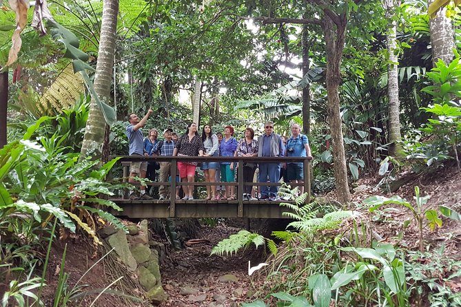 Cairns Shore Excursion: Cairns City Sights & Surrounds Tour - thumb 3