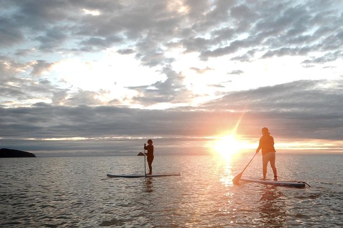 Sunrise Paddleboarding Group Lesson At Palm Cove Beach - thumb 0