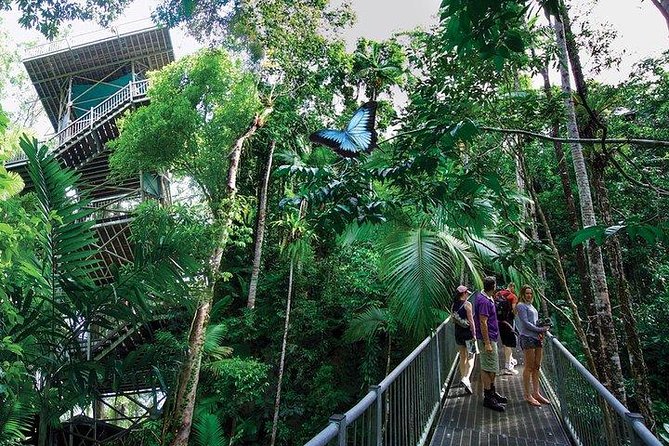 Daintree Discovery Centre Family Pass Ticket - thumb 2