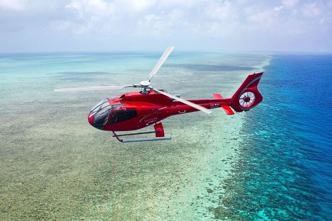Full Day Reef Cruise Including 10 Minute Heli Scenic Flight: Get High Package - thumb 7