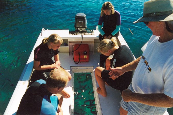 Great Barrier Reef Luxury Expedition Cruise Cabin Booking 7 Days 6 Night - thumb 1