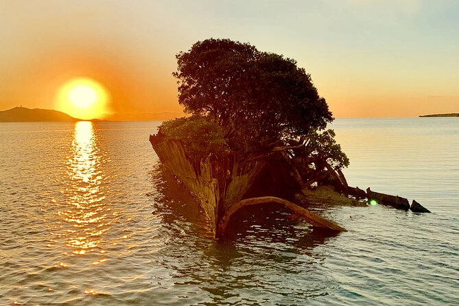 Aquascene Magnetic Island Sunset & Shipwreck Tour - thumb 3