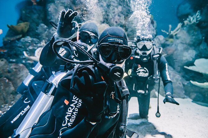 Cairns Aquarium Dive With The Sharks - thumb 8