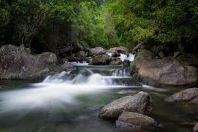 Waterfall And Wallabies Sighting Tour - thumb 0