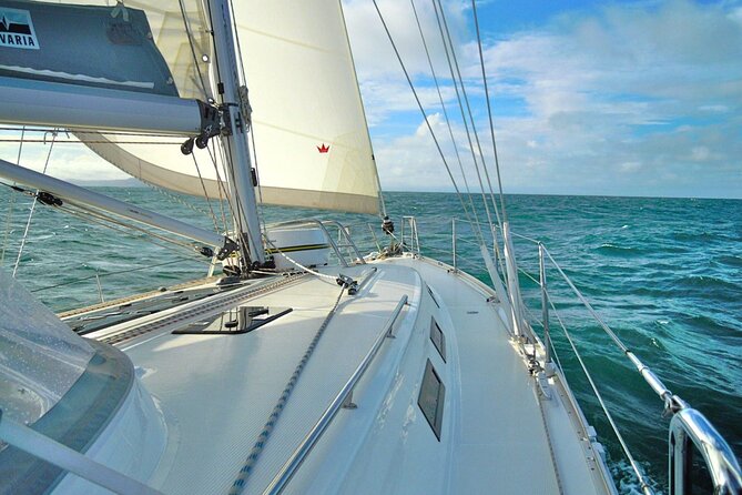 Sailing Curlew Escape On Moreton Bay - thumb 7