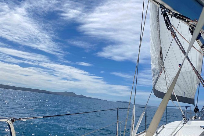 Sailing Curlew Escape On Moreton Bay - thumb 17