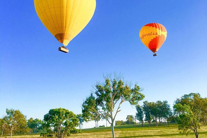 Hot Air Ballooning Brisbane Including Canungra Vineyards Breakfast - thumb 5