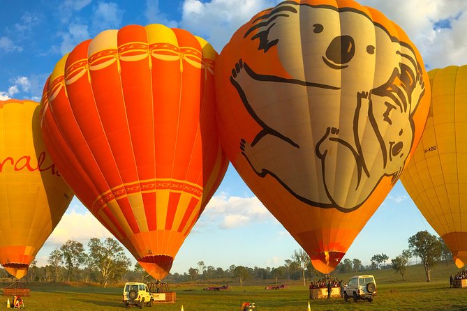 Hot Air Ballooning Brisbane Including Canungra Vineyards Breakfast - thumb 6