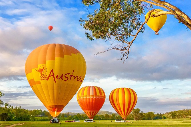 Hot Air Ballooning Brisbane Including Canungra Vineyards Breakfast - thumb 7