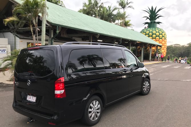 Private Transfer From Brisbane Airport To Noosa For 1 To 4 People - thumb 1