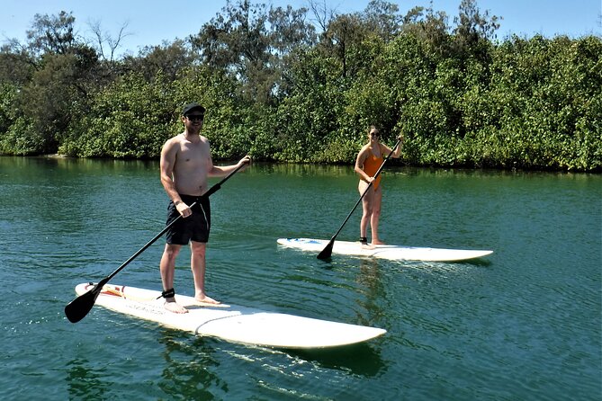 Paddle Board Hire In Surfers Paradise - thumb 2