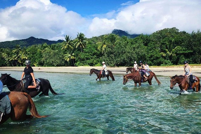 Afternoon Beach Horse Ride in Cape Tribulation - WA Accommodation