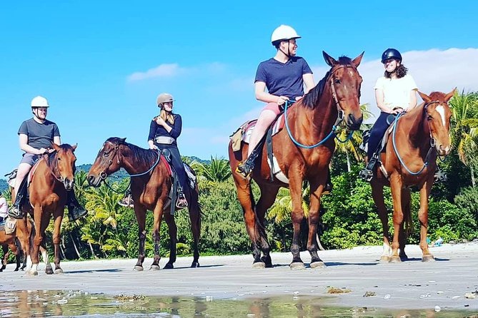 Mid-Morning Beach Horse Ride in Cape Tribulation with Pick Up - Accommodation Kalgoorlie