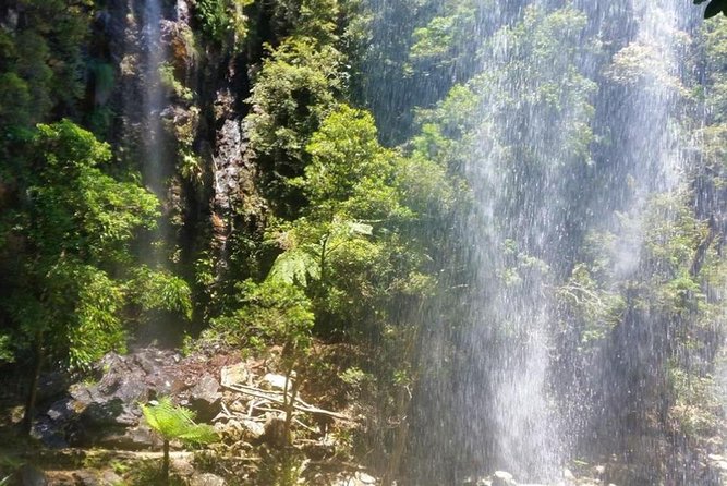 Full-Day Guided Sightseeing Tour Of The Gold Coast Waterfalls - thumb 2