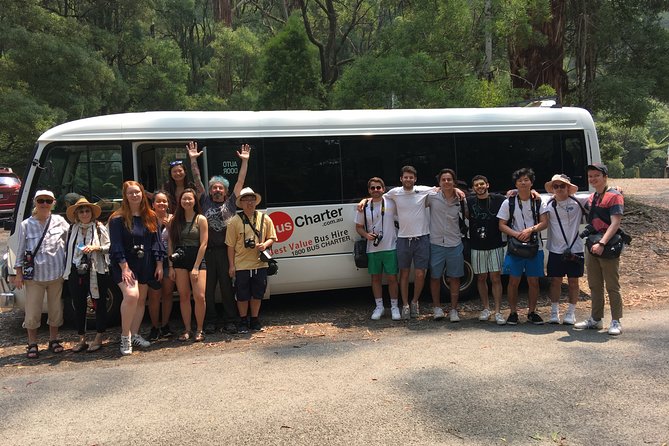 Private 13 Seat Mini Bus Brisbane CBD To Lone Pine Koala Sanctuary Transfer - thumb 4