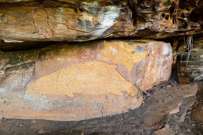 Half Day Aboriginal Rock Art Experience In Queensland - thumb 3