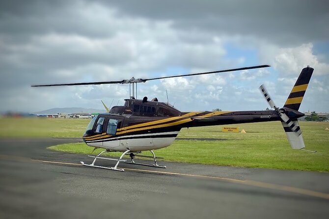 Brisbane Highlights - 20min Scenic Helicopter Flight - thumb 2