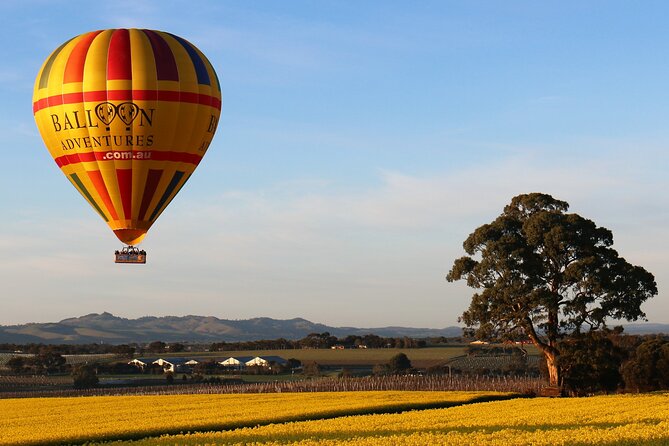 Barossa Valley Hot Air Balloon Ride With Breakfast - thumb 4