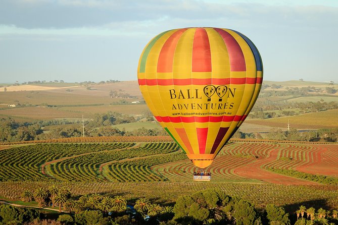 Barossa Valley Hot Air Balloon Ride with Breakfast - Accommodation Adelaide