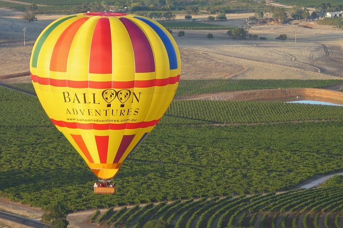Barossa Valley Hot Air Balloon Ride With Breakfast - thumb 1