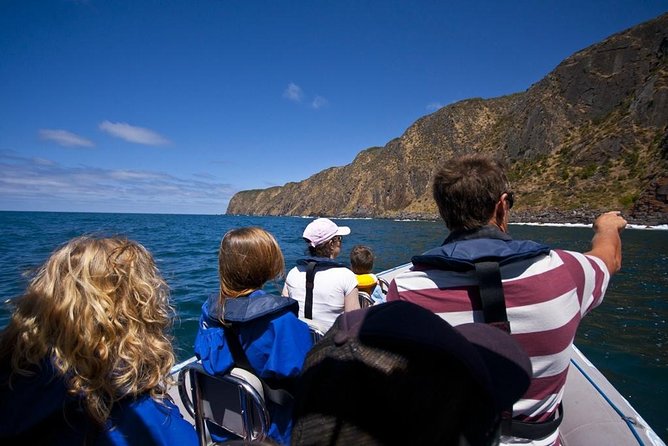 Seal Island Boat Tour From Victor Harbor - thumb 4